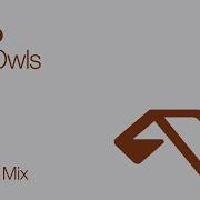 The Owls