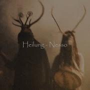 Heilung Nesso