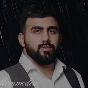 Sohret Memmedov 2026