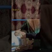 Любимый Кот