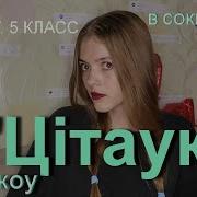 Цитауки