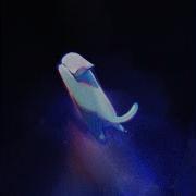 Nameless Cat Ost