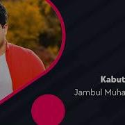 Ox Bu Kabutar Yoki Pari