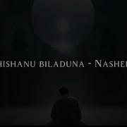 Shishanu Biladuna Background Nasheed