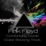 Comfortably Numb Guitar Backing Track