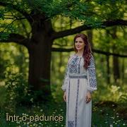 Intro Padurice