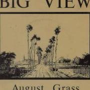 Big View August Grass