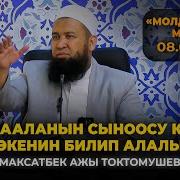 Максат Дамла Баян