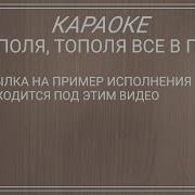 Тополя Все В Пуху Караоке