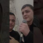 Точигистон Аз Хоки Бустон