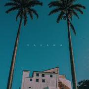 Savana Vendredi