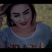 Saap Cyn Soygi