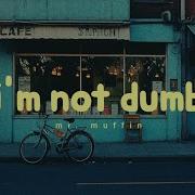 Mr Muffin I M Not Dumb