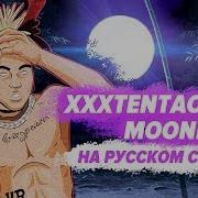 Спалая Мулая Перевод