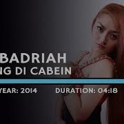 Terong Dicabein