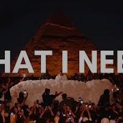 What I Need Naarly