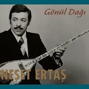 Neset Ertas Gonul Dagi