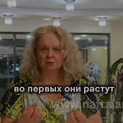 Нафталан