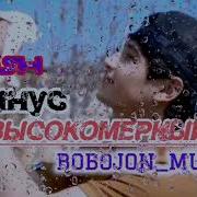 Минус Ибош