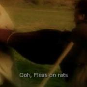 Going Harder Faster I M Stronger Black Death