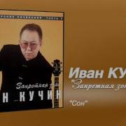 Сон Кучин