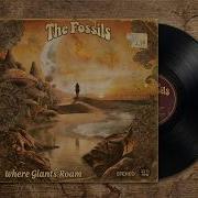 The Fossils Full Album Where Giants