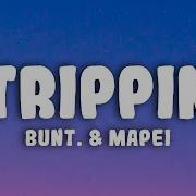 Bunt Trippin