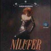 Nulufer Inkar Etme
