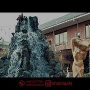 Шоми Калъа