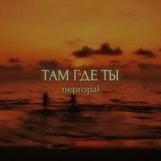 Тамгдеты