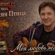 Виа Синяя Птица Моя Любовь Жива Ai Cover