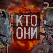 Серые Муравьи