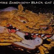 Black Cat Bones Full Album