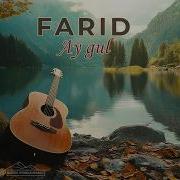 Farid Ay Gul