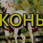 Языков Конь