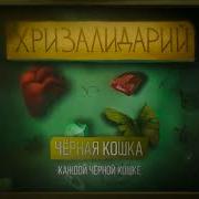 Чёрная Кошка