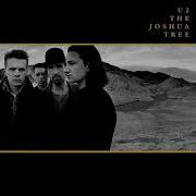 Joshua Tree