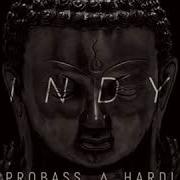 Indy Probass Hardi