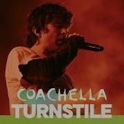 Turnstile Birds