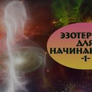 Вильям Дауэр