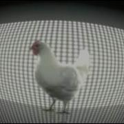 Петушиный Дабстеп Кукареку