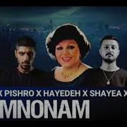 Hayedeh Man Mamnunam