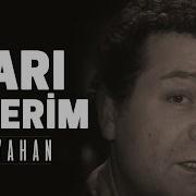Sarı Şekerim