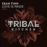 Sean Finn Love And Pride