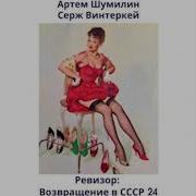 Ревизор 24