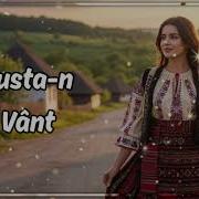 Fustite In Vant Hit De Vara