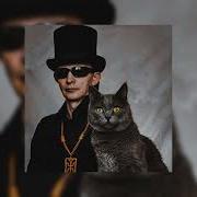 Пикник Инкогнито Speed Up