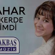 Bahar Askerde Şimdi