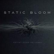 Radio Static Static Bloom
