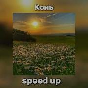 Конь Speed Up